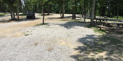 Campsite 12