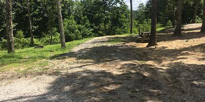 Campsite 19