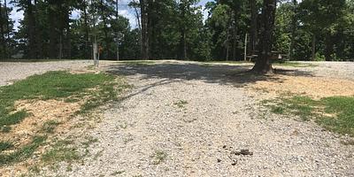 Campsite 28
